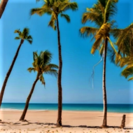 BEAUTIFUL BEACH WITH COCONUT TREES