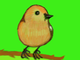 Bird