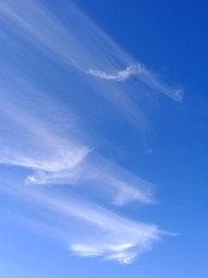 blue sky and white clouds