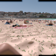 Bondi beach sun bath