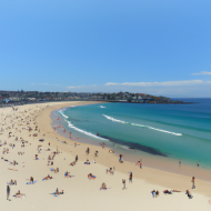 Bondi beach sun bath people