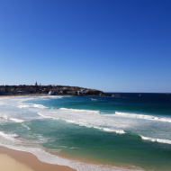 Bondi beach