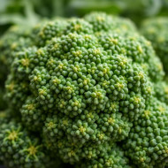 Brocc-ing news! This green veggie is packed with vitamins!