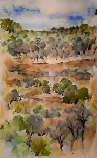 BUSHLAND PAINTING