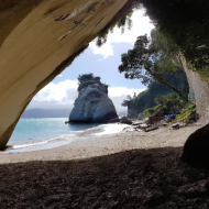 Cathedral Cove