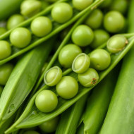 Close up of fresh green peas