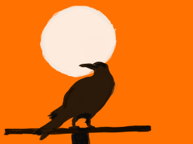 crow and sunset