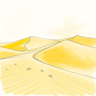 Desert vibes