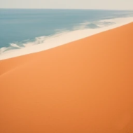 Dune and Sea painting