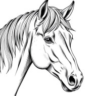 Every horse is a masterpiece