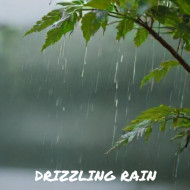 FEELING RAIN-TASTIC....