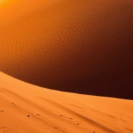 FOOT PRINTS ON SAND