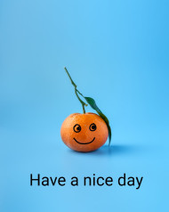 have a nice day