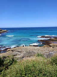 tamarama beach,sydney