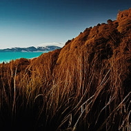 landscape in NZ