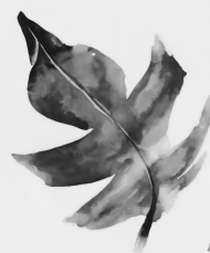 Leaf painting