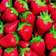 Life is a basket of strawberries...