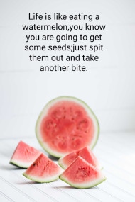 LIFE VS WATERMELON SEEDS