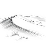 Lost in the desert beauty