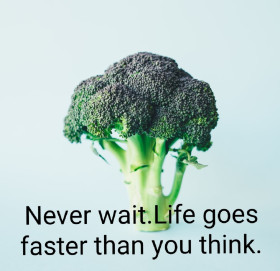 NEVER WAIT