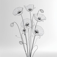 Poppy flowers
