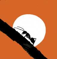 Silhoutte ant