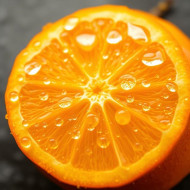 Slice of orange