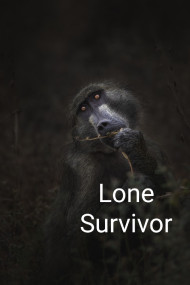 survivor