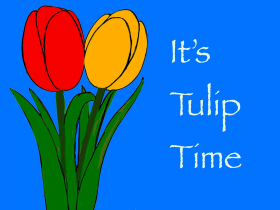 tulip time