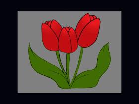 tulips