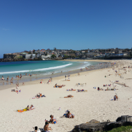 Wide view bondi