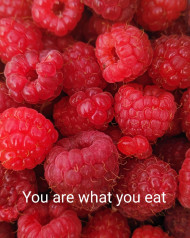 you are what you eat