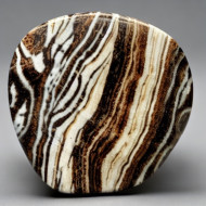 ZEBRA JASPER