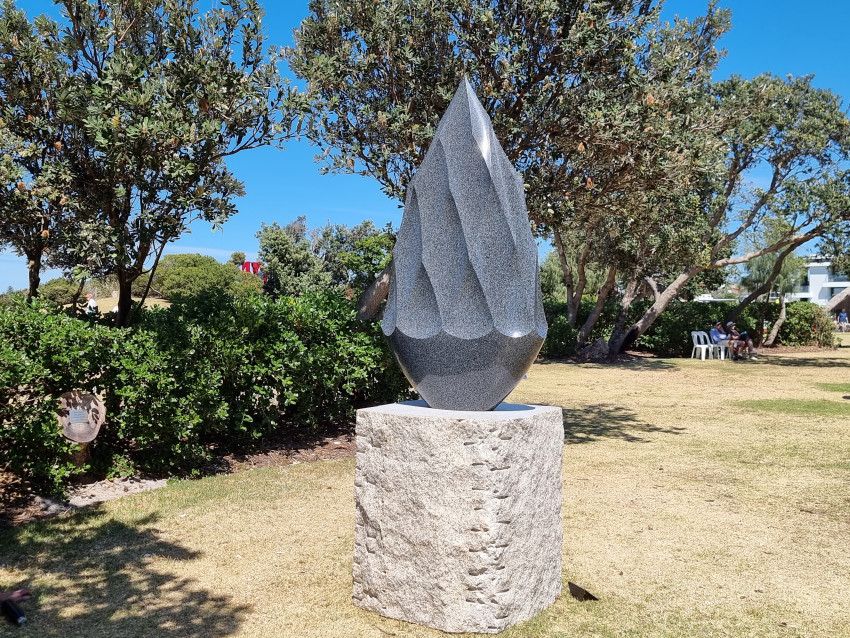 ARROWHEAD DARK NIGHT SHINE