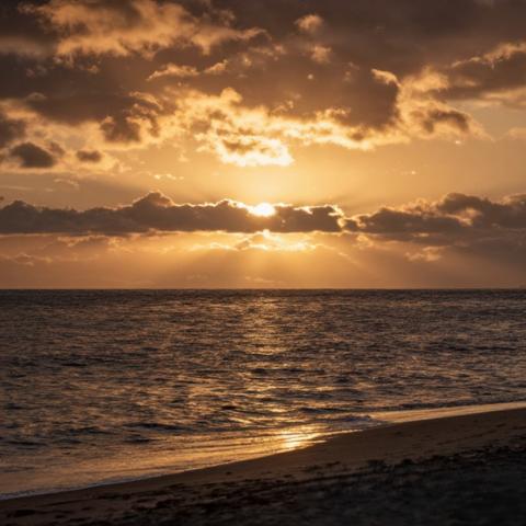 Chasing the sun down