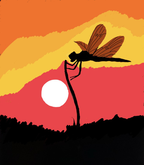 Dragon flyâ€¦devilâ€™s arrow