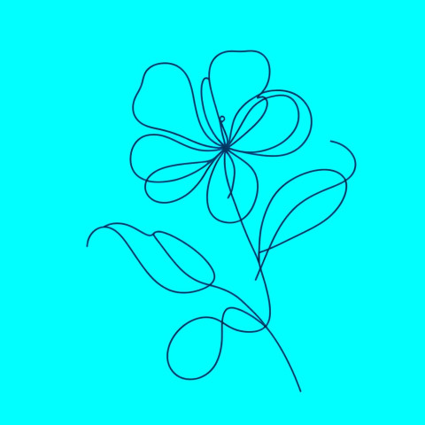 flower drawing