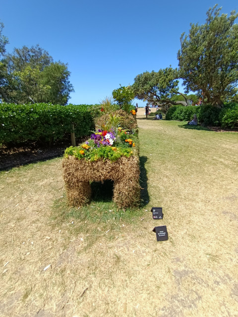 Peace, perfect peace.