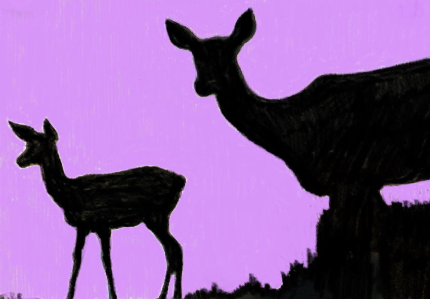 In woodsâ€¦with baby deer