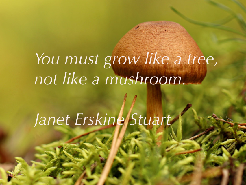 Janet Erskine Stuart Quote