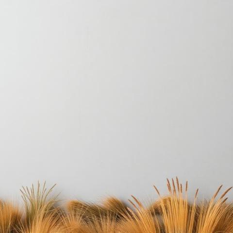 Nature's rugged beauty