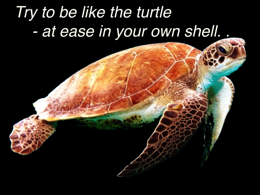 Own shell