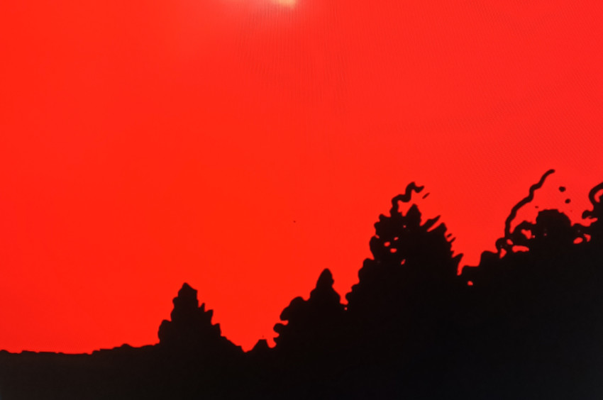 Red sky snake like tree top