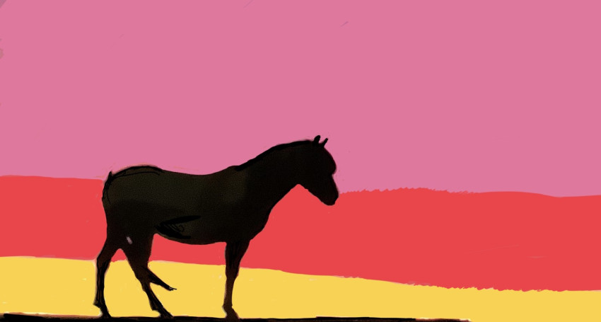 Ride moreâ€¦worry less