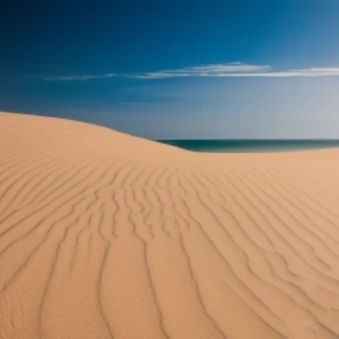 SAND IS MY FAVORITE COLOUR