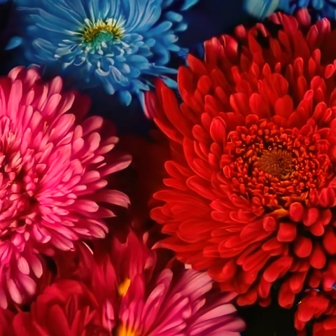 Time for Spring Adventures