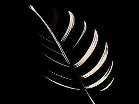 Wall Arts 21709877926cujroomt8h